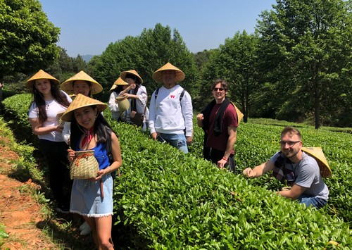 13 国际学生在校外实习基地体验中华茶文化